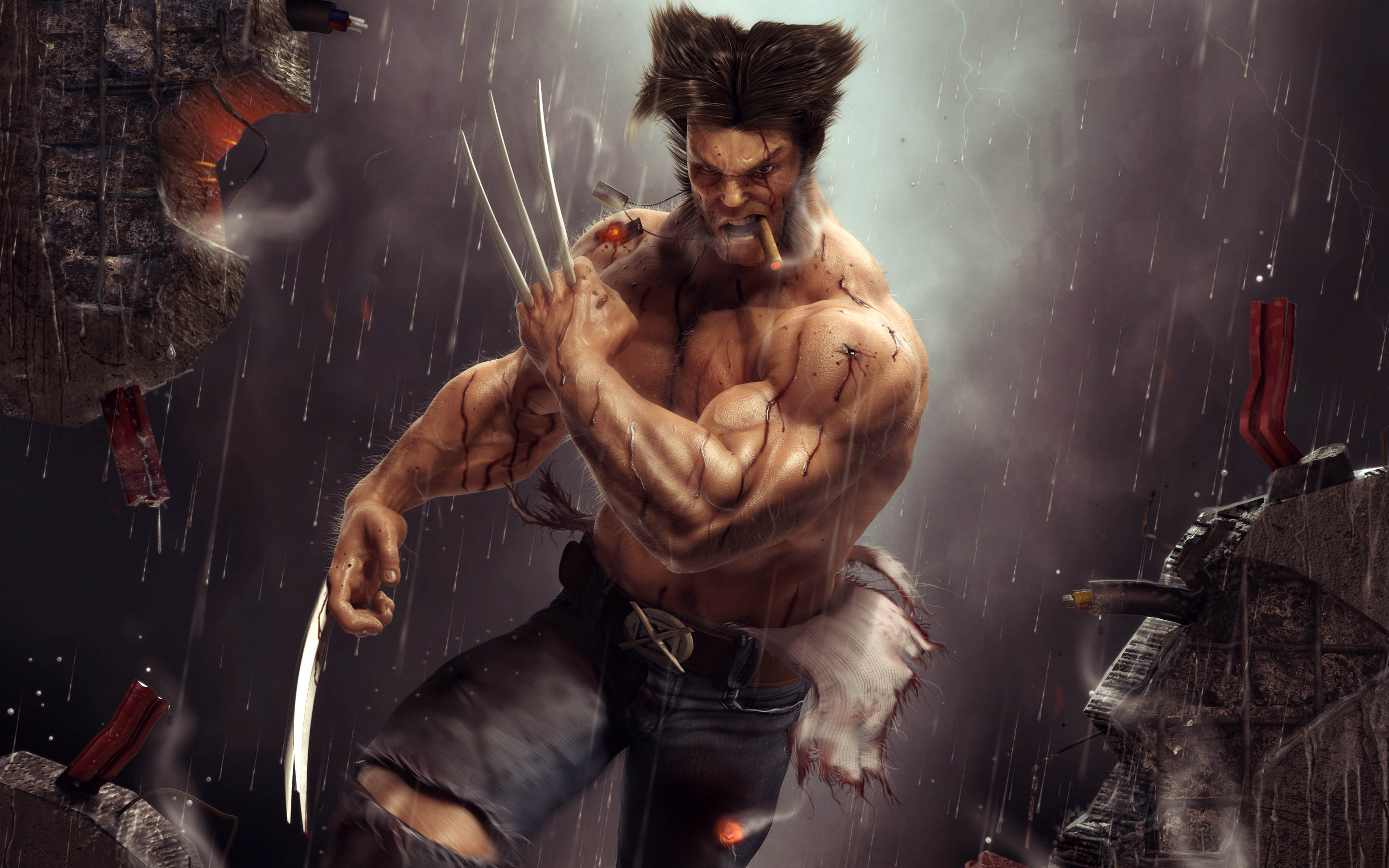 Wolverine Artwork409824596